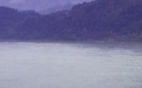 Ҷ˧���������š�����(��������)