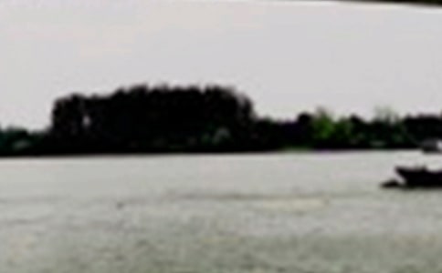 �������ž���������ɳ�������ѧ��� (�˽̰���꼶�ϲ�)