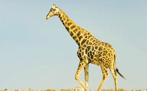 �а೤��¹���Խ̰� �а����Խ̰�����¹