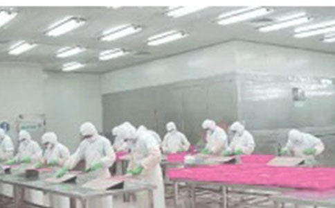 生产车间的表扬信