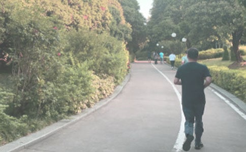 ��ѡ�����ռ���ƪ