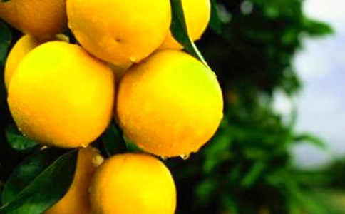 С���ѧ���Ӻ����ӽ̰�