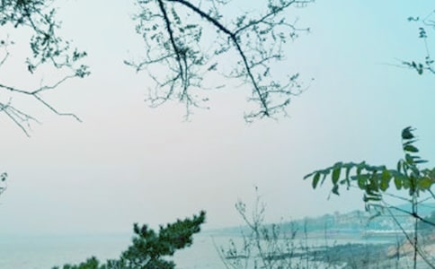 �����硷��ѧ���