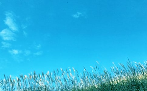 ���绯�꣬��������--------̸�����Ķ�