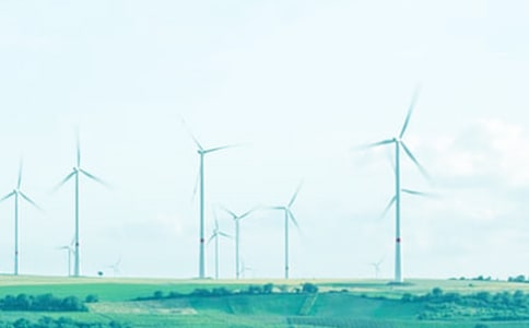 《春风》教案 教案教学设计