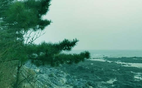 《春风化雨》心得体会(通用24篇)