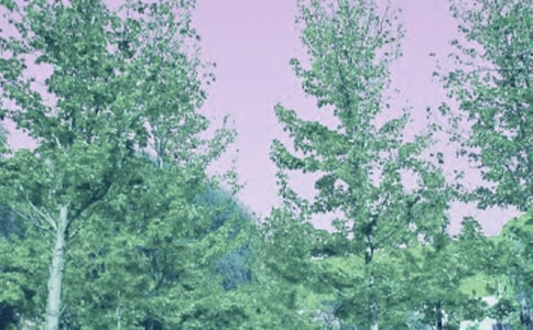 �����硷˵�θ��ֽ��� (��ʦ�����꼶�²�)