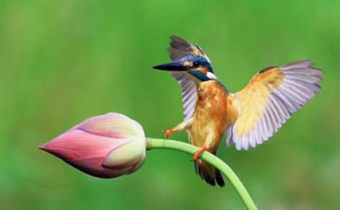 �����񡷽̰�