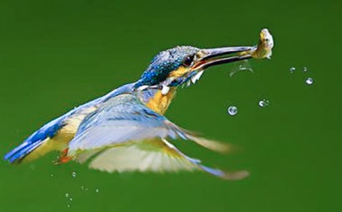 ������������̰�3ƪ