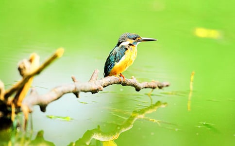 ����̰�����ѡ13ƪ��