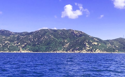 ��Сѧ����(��)