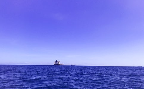 �����Ĵ�Сѧ����