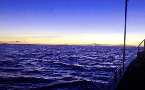 д��Сѧ����