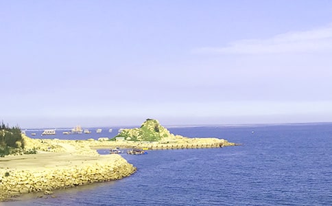 �����꼶����