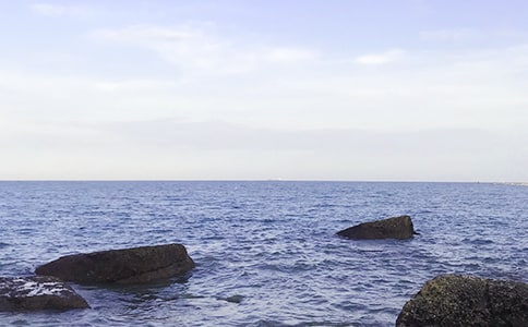 ����˯�ˡ���ѧ��˼15ƪ