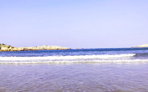 ��ѡ��д�����Ļ����ƪ