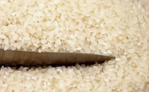 ���ײɹ���ͬ