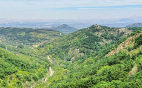 ��ԽԶ���Ĵ�ɽ��ѧ��˼����