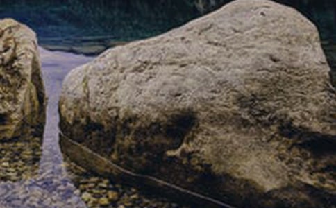 大石头与小石子(七年级班主任论坛发言稿)