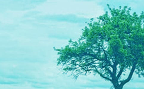 ��С�ݺʹ���������з���