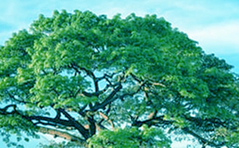 ���ر���С�ݺʹ��������