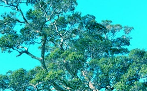 �����Ĺ��½�ѧ��˼ 