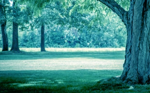 �����Ĺ��½̰�����ѡ6ƪ��