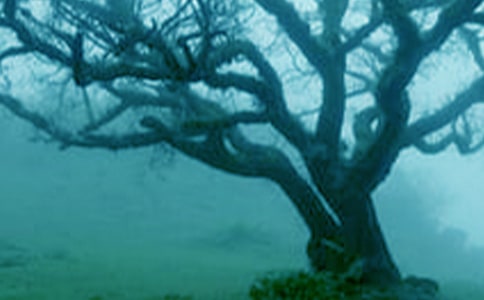 �����������ĳ��У�ͨ��30ƪ��