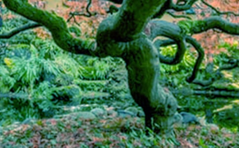 ���꼶�ϲ��˽̰桶С��������ĶԻ����̰�5ƪ