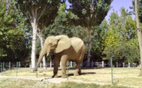 ����˵����