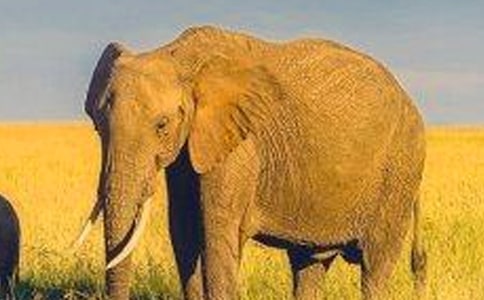 ������Ķ��䡷�����