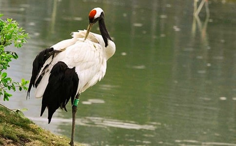 �����ĵ����׽̰�