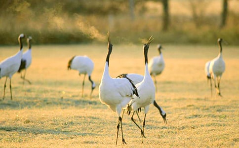 �������ĵ����ס�����̰�����