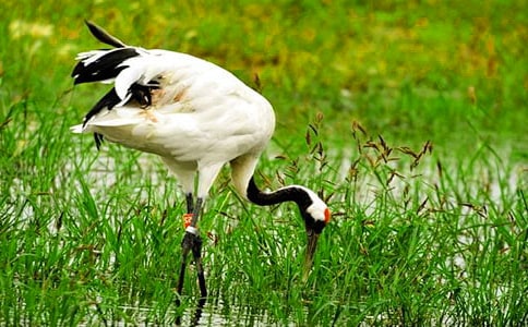 �������ĵ����ס�˵�θ�8ƪ