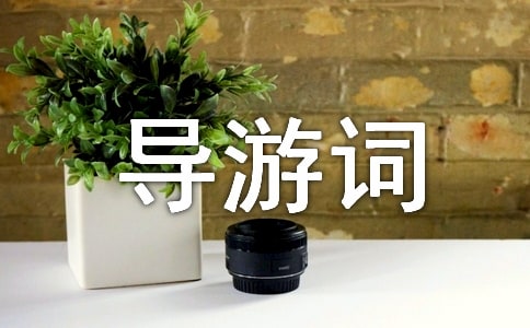 ̫�幬���㵼�δ�