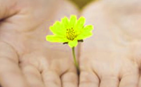 ���ܵ�Ǹ��