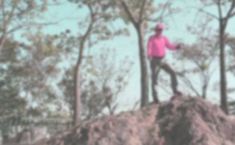 ��ѡ��ɽСѧ����300��4ƪ