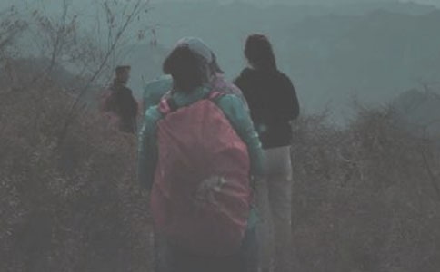 ���ر�����ɽСѧ����300��4ƪ