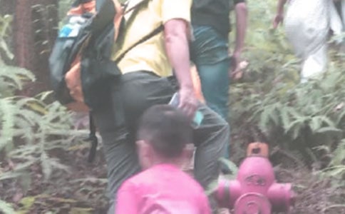 【精华】登山小学作文六篇