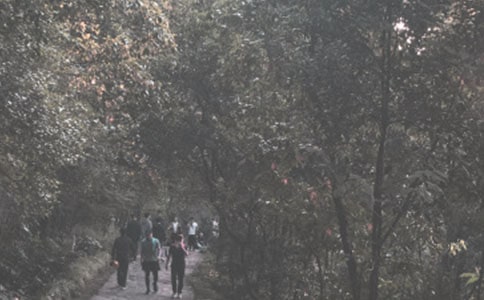 ����Ʒ����ɽСѧ����6ƪ