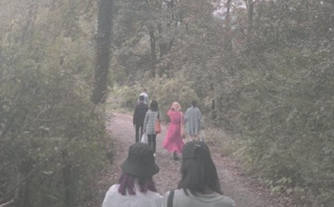 ��ɽСѧ���ľ�ѡ15ƪ