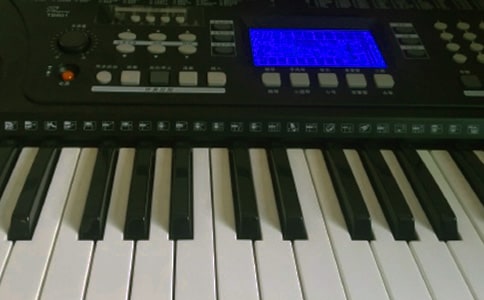 ����Сѧ��������Ȥ���ѧ�ƻ�