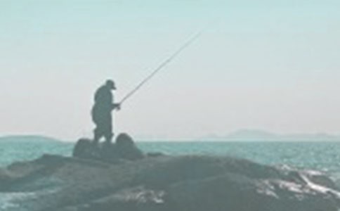 ����Сѧ���ģ���15ƪ��