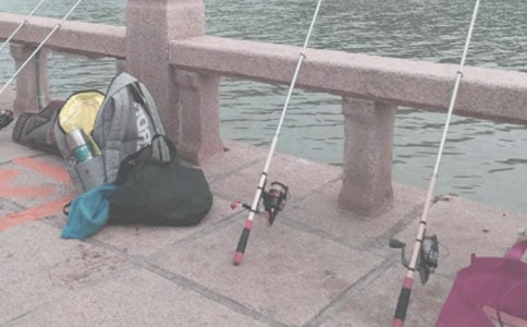 ��ѡ���꼶��������5ƪ