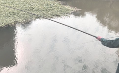 Сè�����ѧ��˼15ƪ