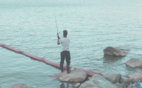 小猫钓鱼教学反思