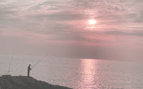 Сè����̰�����ѧ��˼