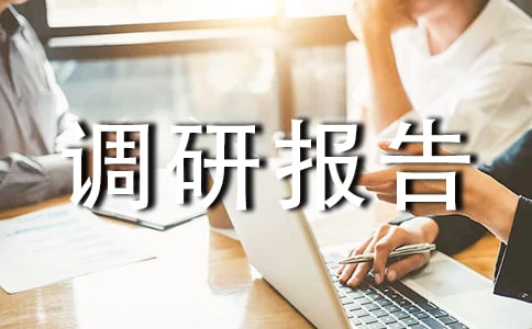 大走访调研报告