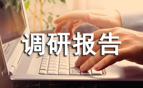 调研报告范文15篇