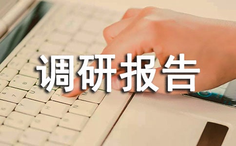 白酒调研报告